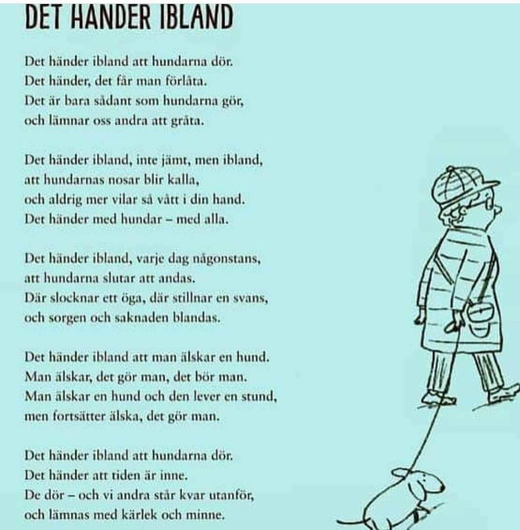 Dikten Det händer ibland – om hundar som lämnar oss